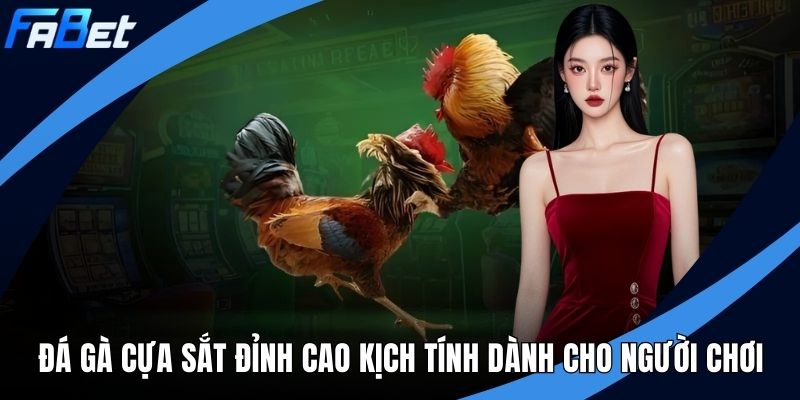 Đá gà cựa sắt ảnh đại diện