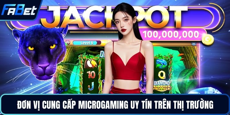Đơn vị cung cấp Microgaming uy tín trên thị trường