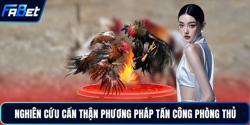 Đá Gà Cựa Sắt Đỉnh Cao Kịch Tính Dành Cho Người Chơi 2026 5 Nghiên cứu cẩn thận phương pháp tấn công phòng thủ